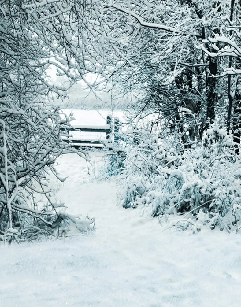 

5x7ft Snow Winter Tree Photography Backdrops Photo Props Studio Background