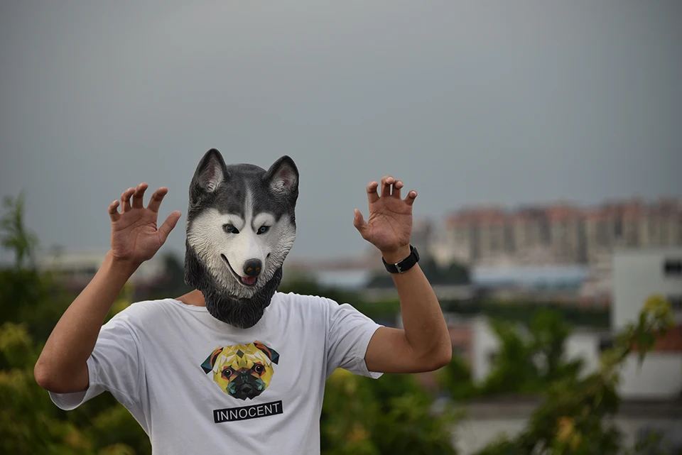 DSC_0877