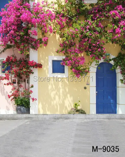 

new arrived hot sale 8*12ft vinyl photography photo studio photographic backdrops red flowers white wall blue door m-9035
