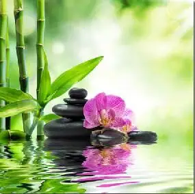 HTB1XQOudJHO8KJjSZFHq6zWJFXaY