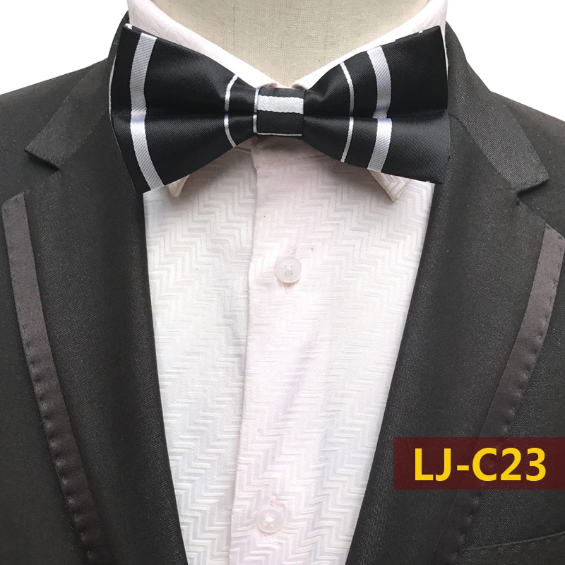 LJ-C23
