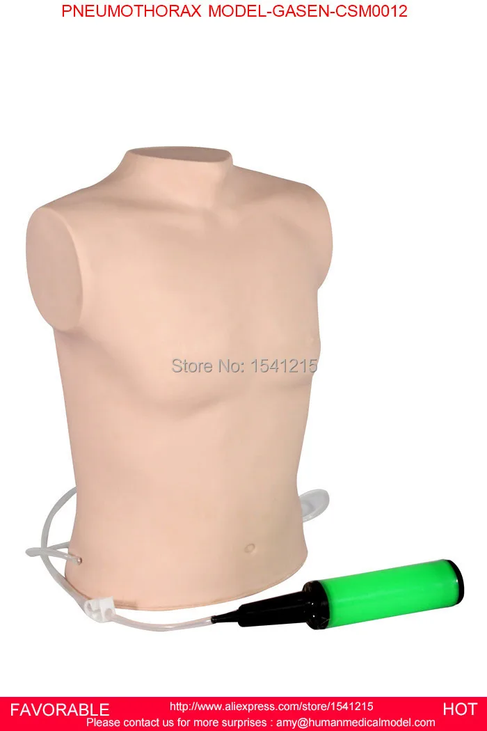 DRAINAGE MANIKIN PNEUMOTHORAX SIMULATOR TREATING MODEL, PNEUMOTHORAX SIMULATOR TRAINING MODEL PNEUMOTHORAX MODEL-GASEN-CSM0012 peritoneal dialysis simulator model