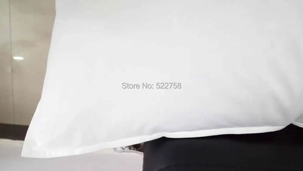 3 chambers goose down pillow (2)_