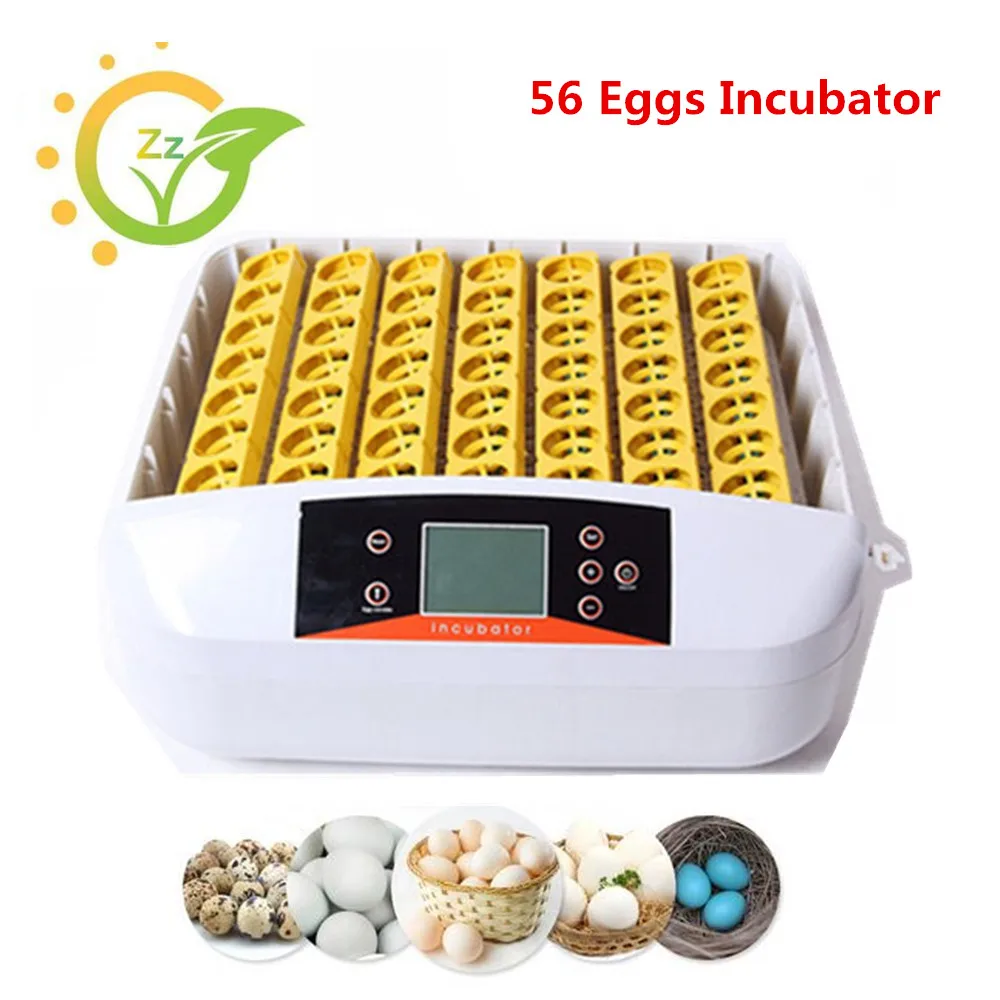 220V Intelligent Automatic Egg Incubator Commercial Industrial