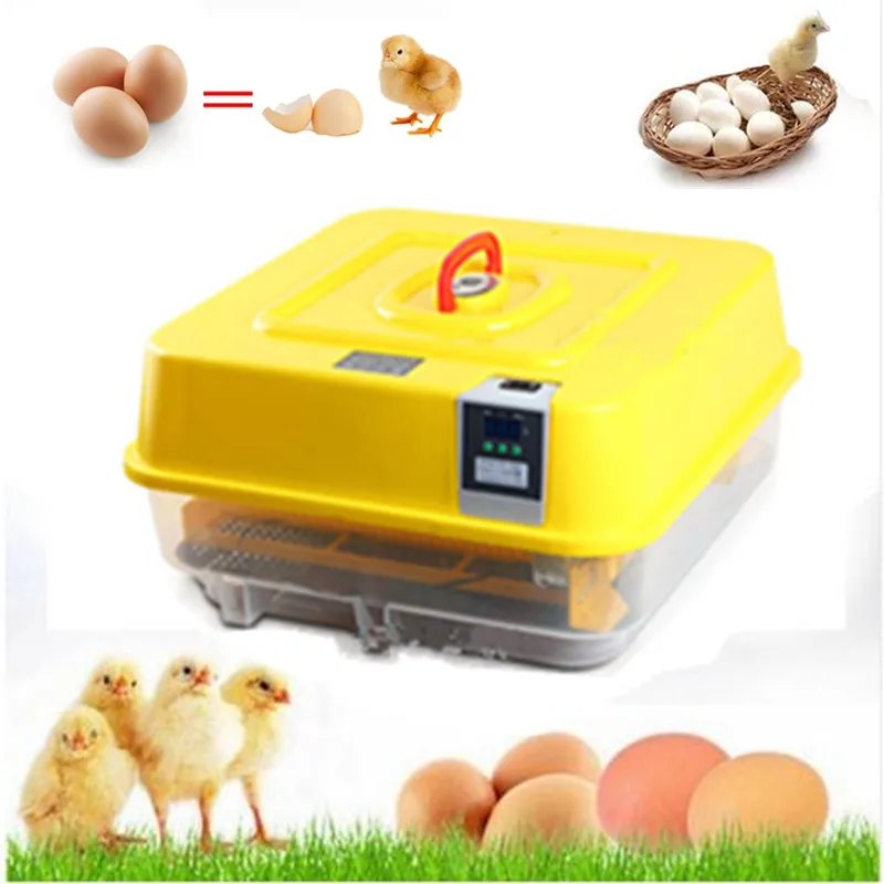 

Mini household small eggs incubator with temperature control hatchery poultry hatching machine cheap egg incubator for sale