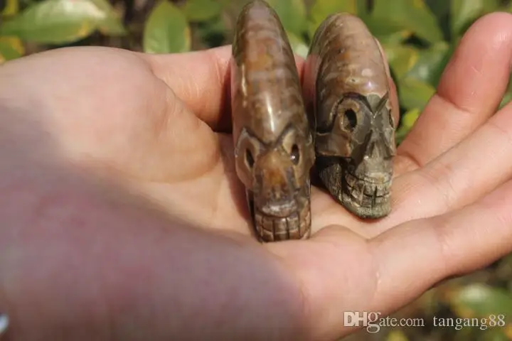 2pcs-natural-quartz-crystal-snail-fossil (1)
