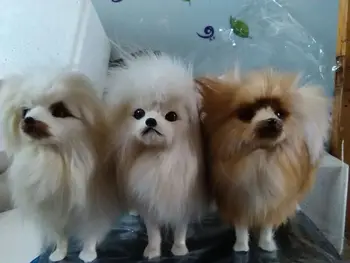 

new cute simulaiton pomeranin dog toy lifelike dog doll gift about 23x9x20cm