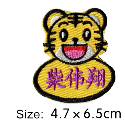 Customized Kids Name stickers Embroidery Iron Sewn on cloth patches Cartoon Characters - 10