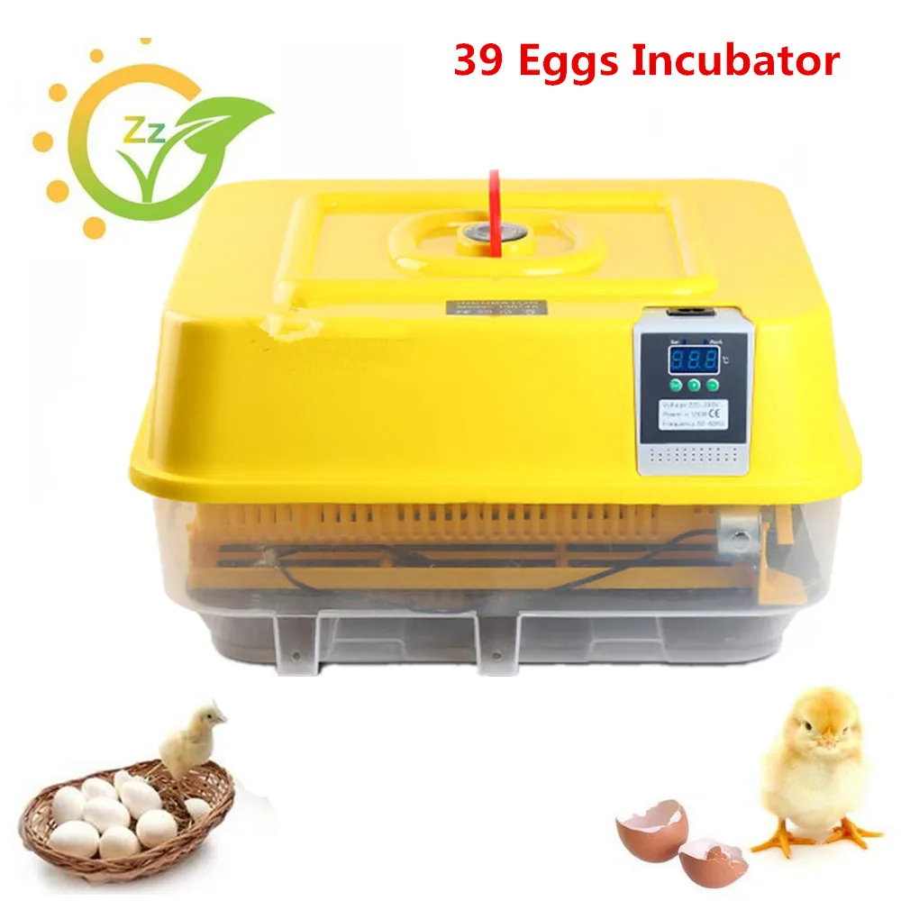 Mini Full Automatic Eggs Incubator Egg-turner Poultry Hatching Machine 39 Chicken Duck Eggs Hatcher