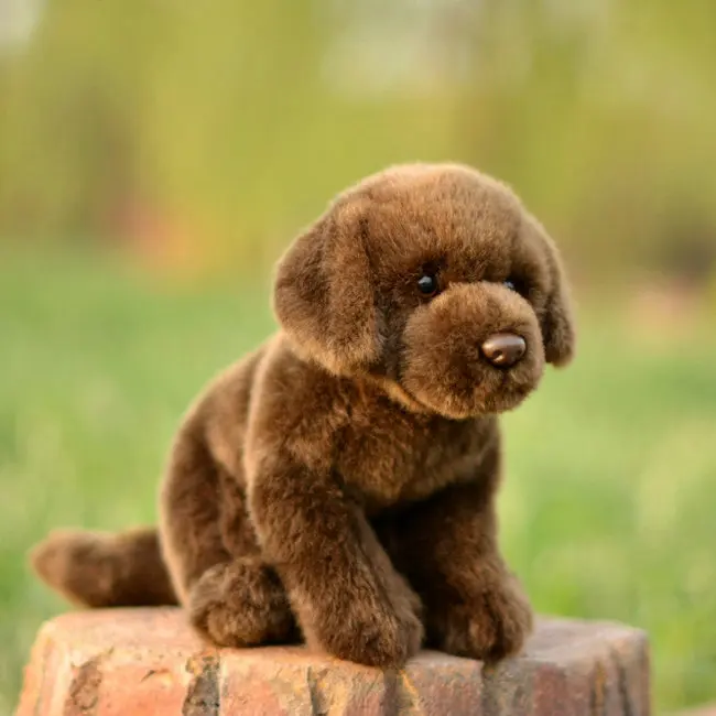 

Lovely and soft rare brown Labrador dolls plush Stuffed Animal Toys real life Dogs children Birthday Gifts Toy Store