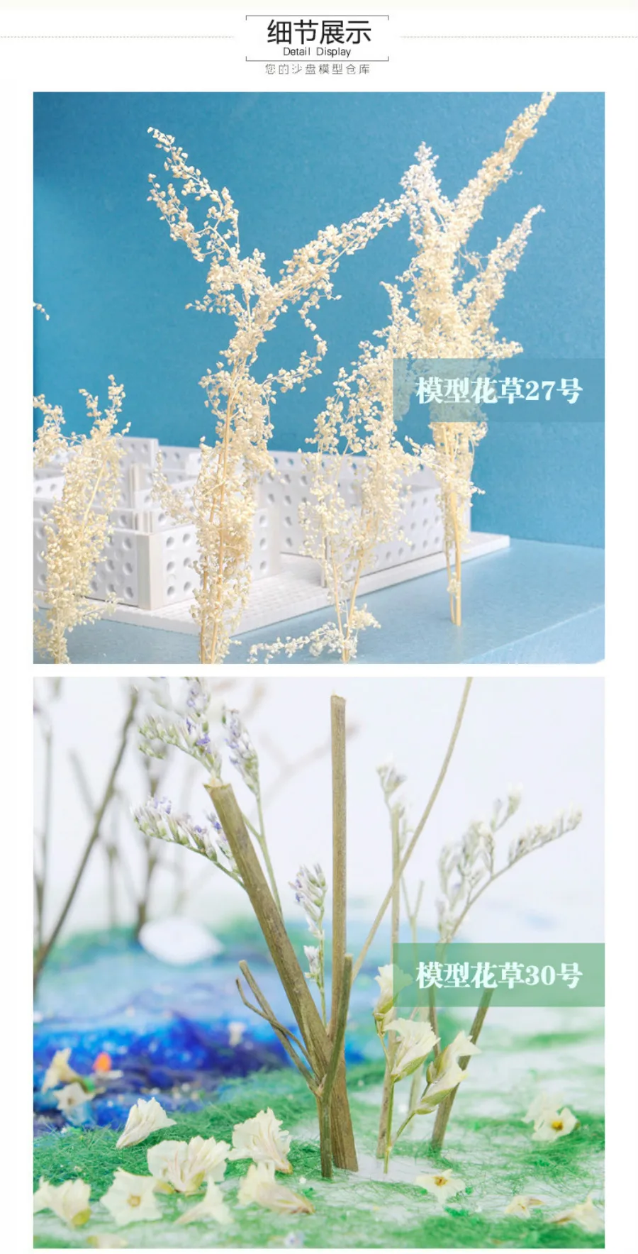 new model  (2)