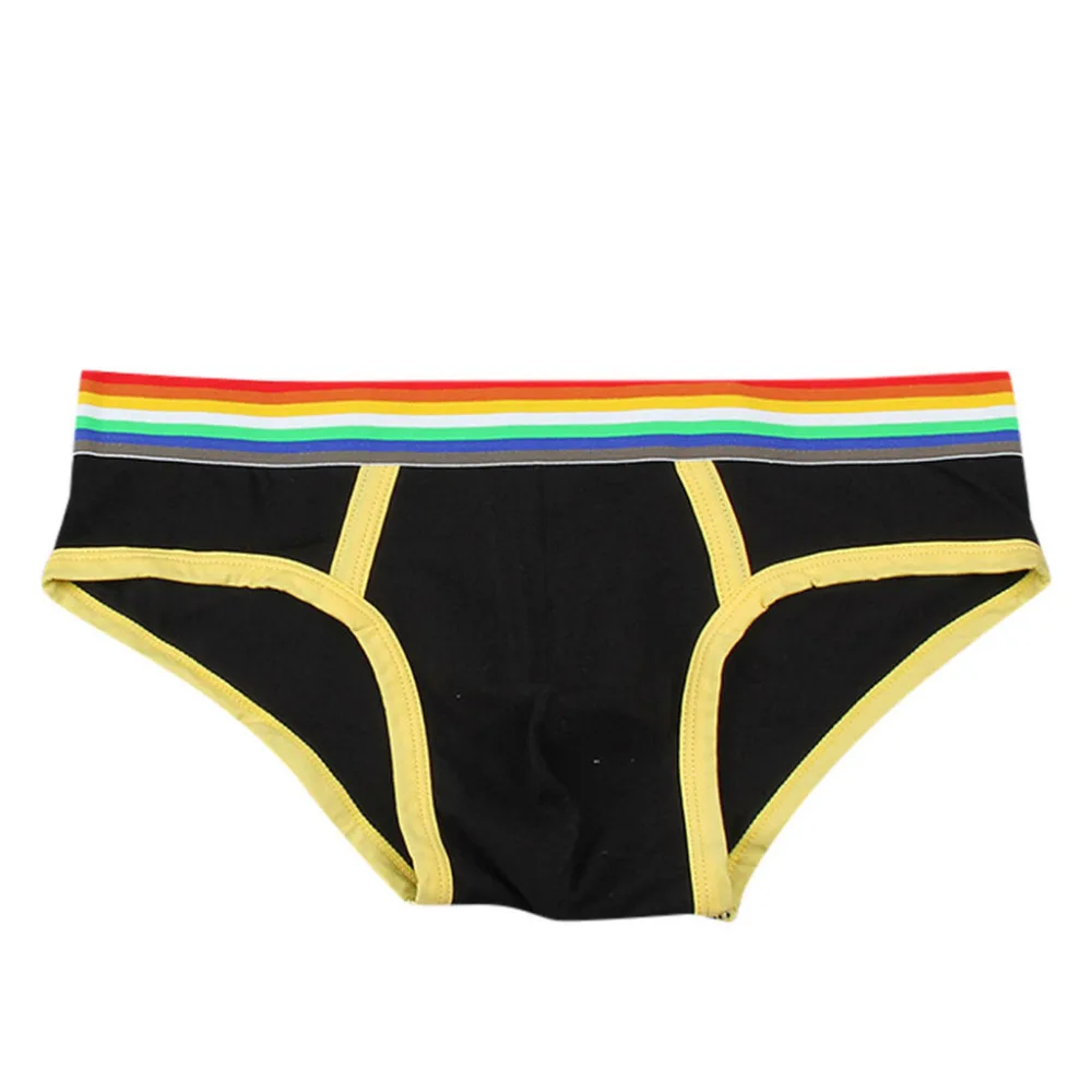 2019 Fashion men's multicolor briefs rainbow cotton briefs swimming shorts breathable men's underwear sexy briefs hombre 40J10 (5)