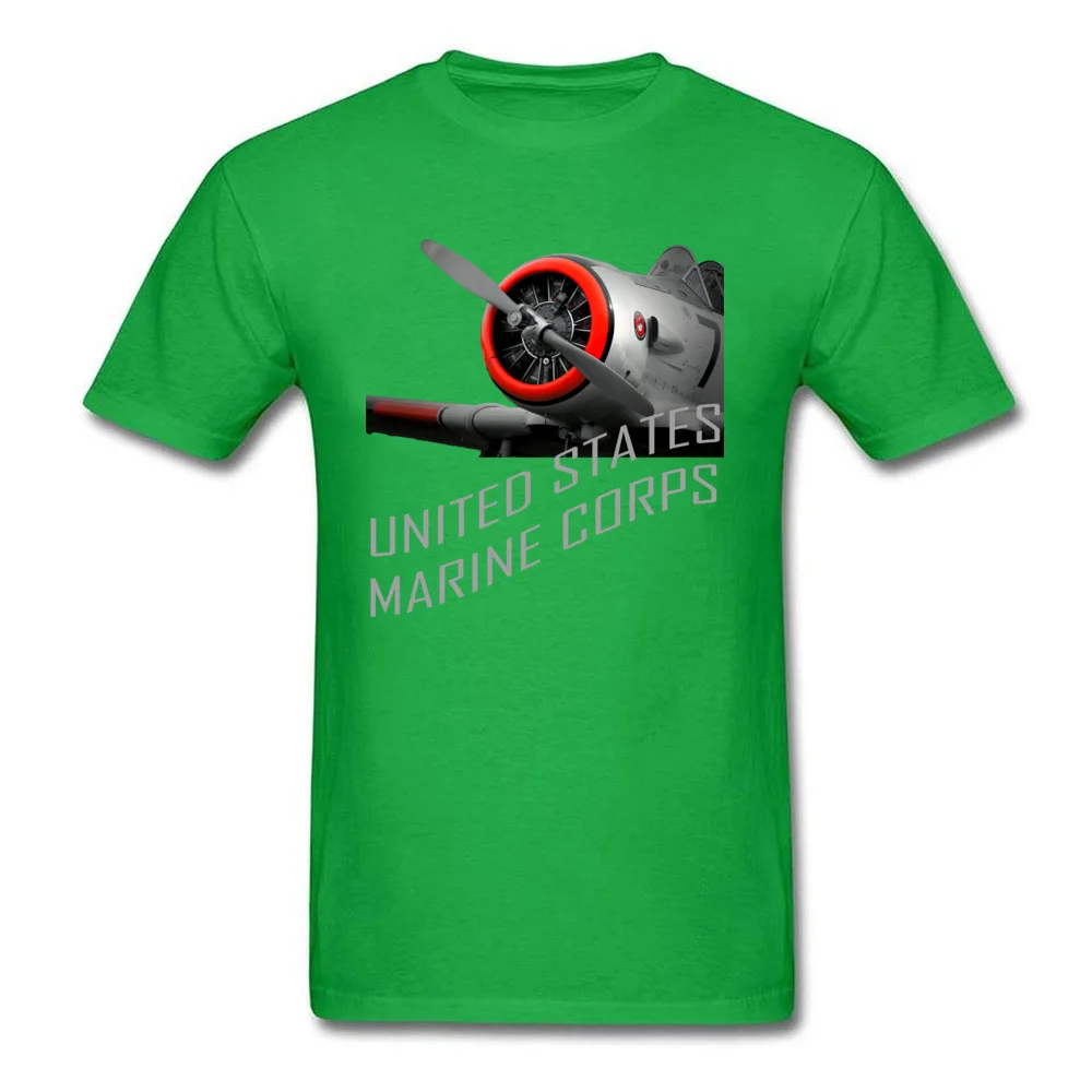 Airplane Aircraft_green