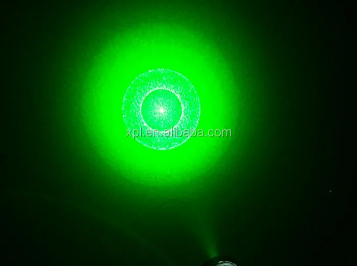 green pattern--12.jpg