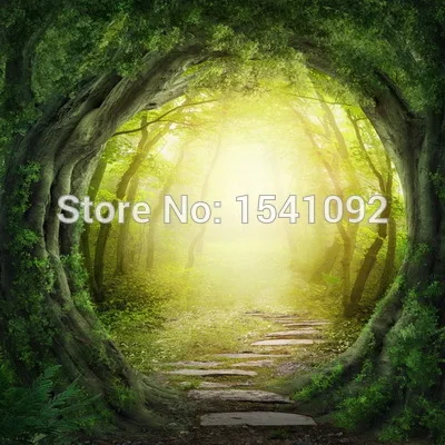 

10x10ft Customize free shipping Thin vinyl cloth photography backdrop scenery computer Printing background for photo studio f173