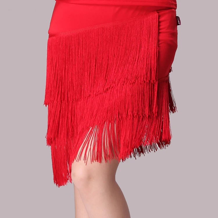 Latin Tap Dance Dress  (2)
