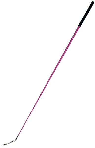 

different color Gymnastics Rhythmic sticks with rose red children
