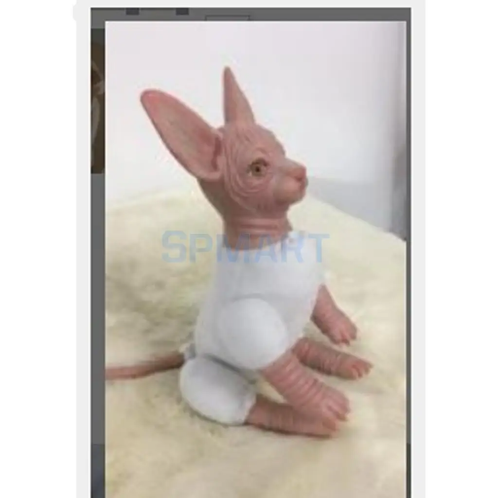 Real Touch Silicone 18inch Reborn Kits Sphynx Cat & Clothes - Realistic Canadian Hairless Cat Model Doll Unpainted DIY Handwork