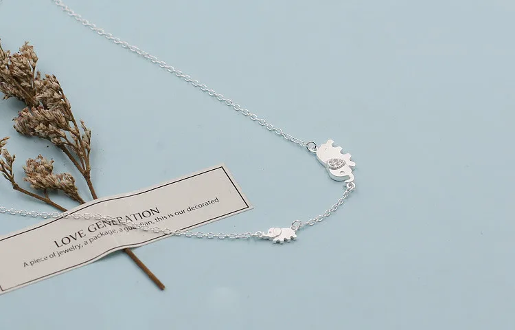 4145127297_717013591