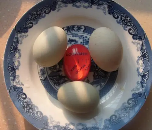 300 шт/партия Смола кухня вареное яйцо таймер идеальный цвет Изменение Яйцо вареный монитор многоразовый вареное яйцо таймер