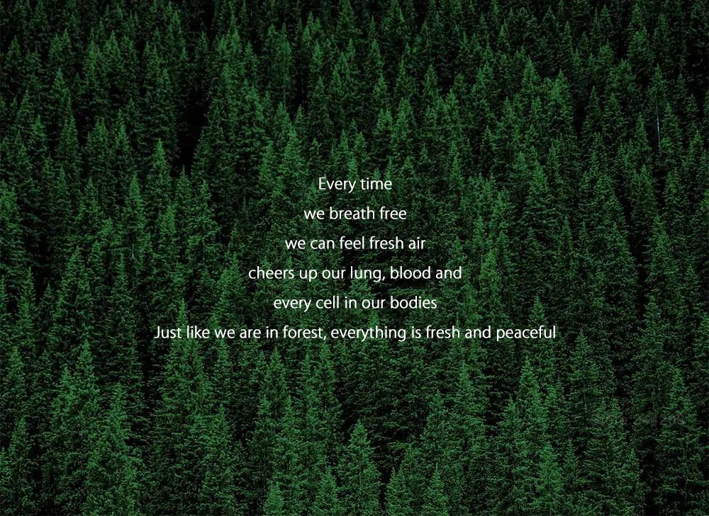 20161224184506_73222_.web