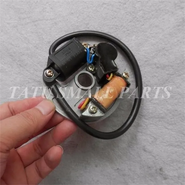 IGNITION ARMATURE PLATE CHINESE 1E40F 1E45F 2