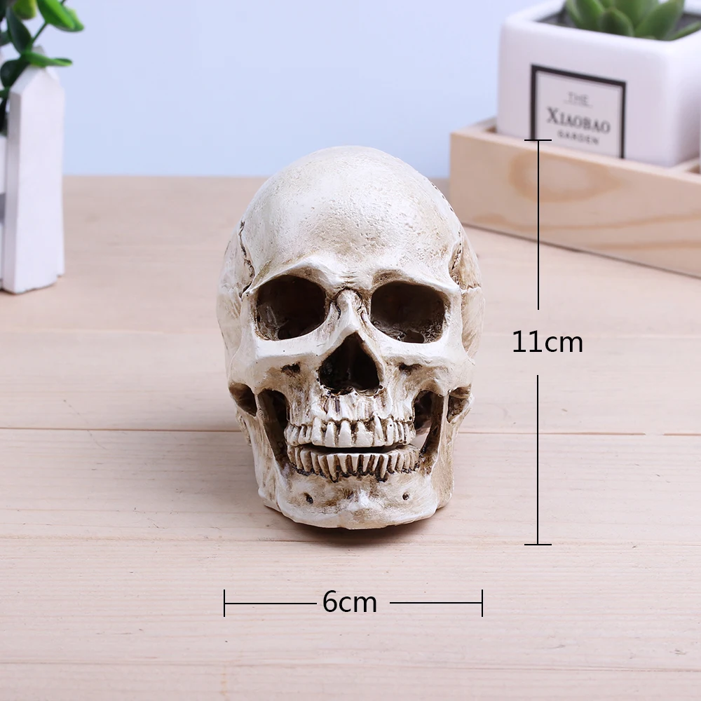 

Animal Skull 1:2 Artificial Skull Model Horror Prop Resin Crafts 11x6x8.5cm Halloween Motorcycle Home Decoration Accessories
