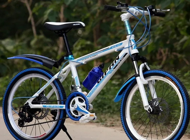 Clearance Free Shipping Aluminum Alloy material 21 speed 24 inch Shift double disc damping mountain bike 1 Clearance Free Shipping Aluminum Alloy material 21 speed 24 inch Shift double disc damping mountain bike 1