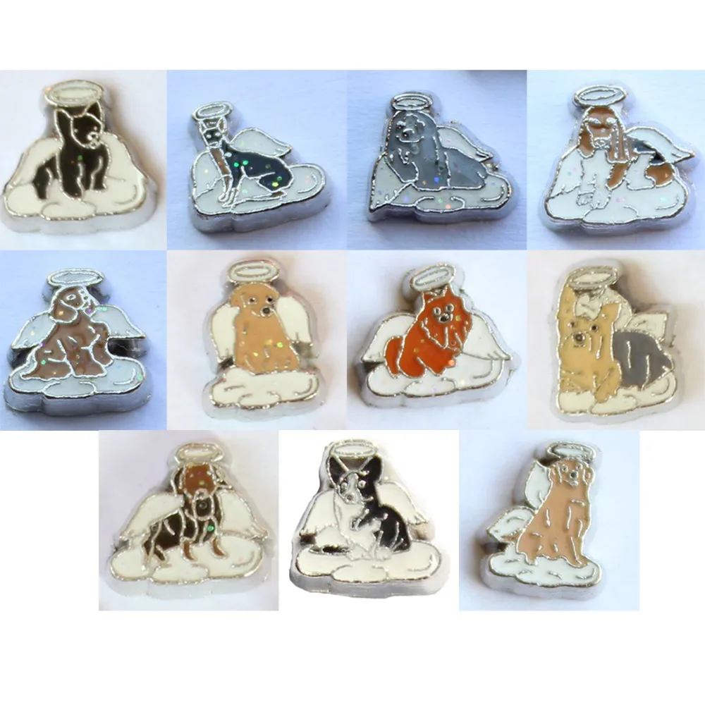 

20pcs/lot new arrival in memory of my dog floating living memory charms