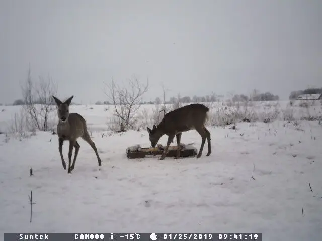 Беспроводная охотничья камера Trail camera s HC801A 16MP 1080P фото ловушка ночного видения дикой природы камеры слежения