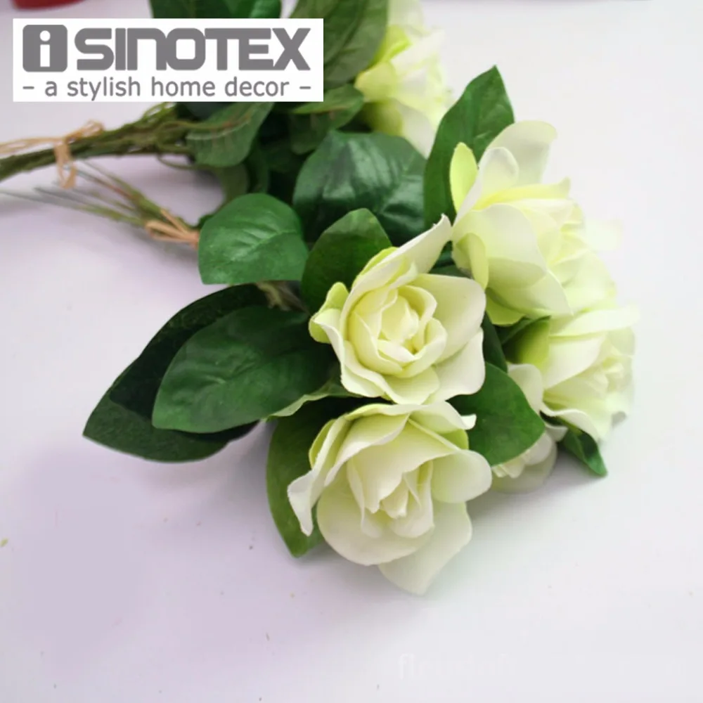 80+ Gambar Bunga Gardenia Terbaru 80+ Gambar Bunga Gardenia Terbaru