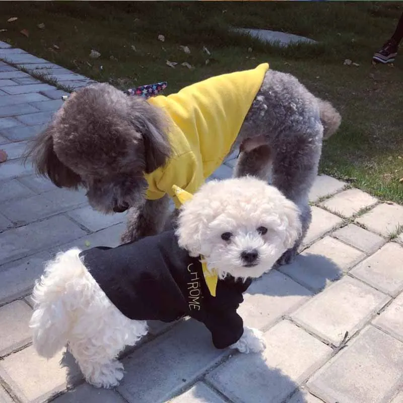 Одежда для собак Тедди Лето Xiong Bomei puppy puppies одежда хлопковая Футболка нагрудник мода