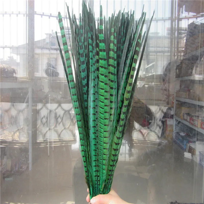 Grass green YY-tesco 50 шт./партия перья из хвоста фазана 20-22 дюймов 50-55 см ювелирные украшения Свадебные украшения натуральное Озеро Голубое перо фазана - Цвет: Grass green