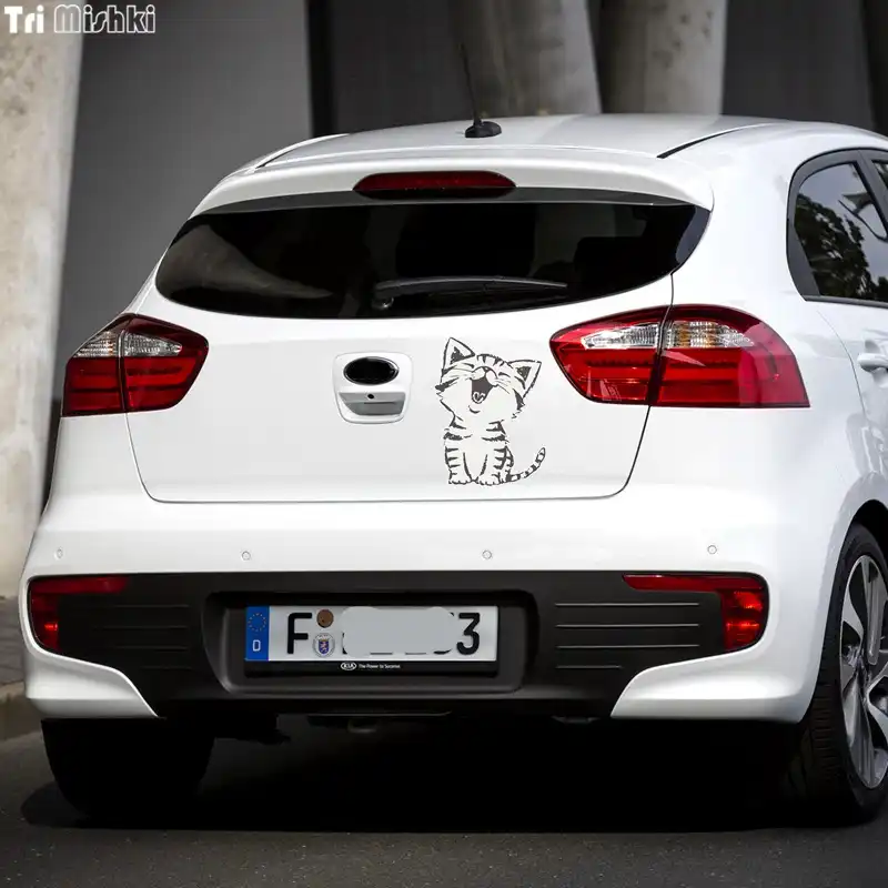 automobile pussy pics Adenofibroma of the breast