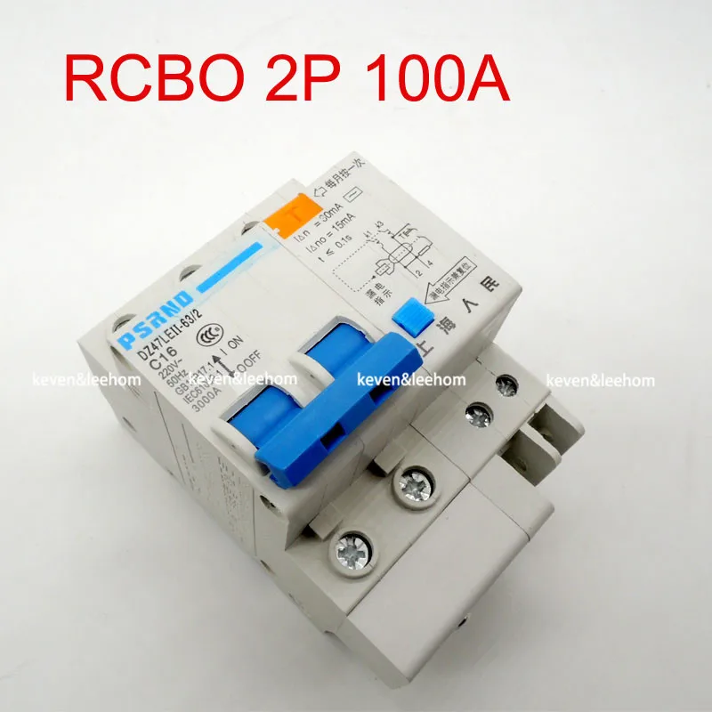 

DZ47LE 2P 100A 220 380V Small earth leakage circuit breaker DZ47LE-100A Household leakage protector switch RCBO