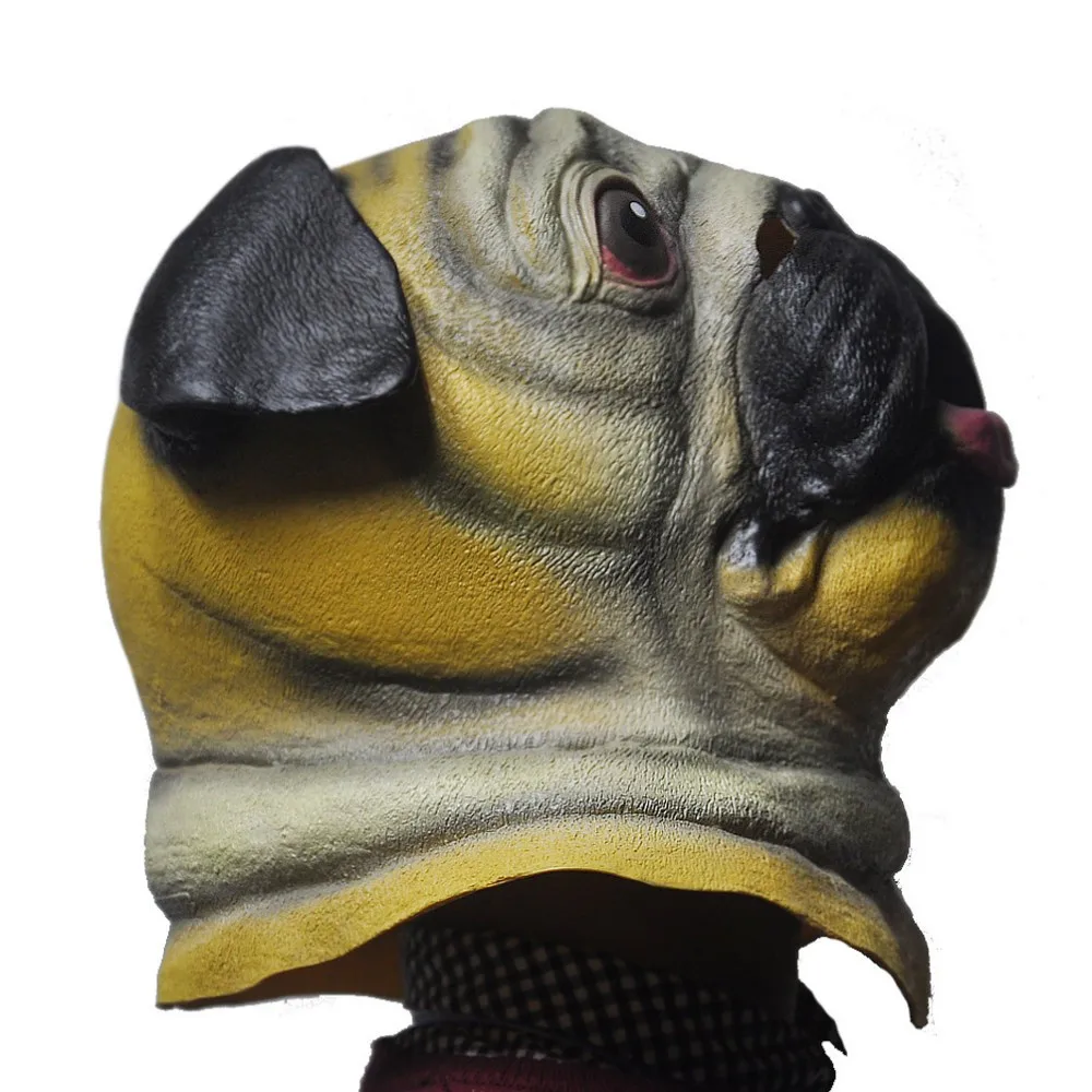 dog (2)