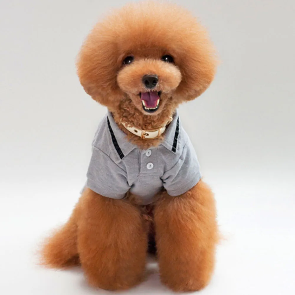MUQGEW домашних собак Пальто футболка свитера собака одежда для маленьких собак Щенок Одежда для собак Толстовка костюм ropa para Перро pequenos