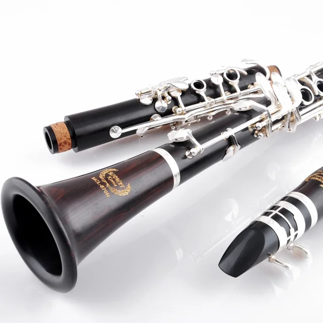 Free shipping Ebony wood Bb professional playing in B