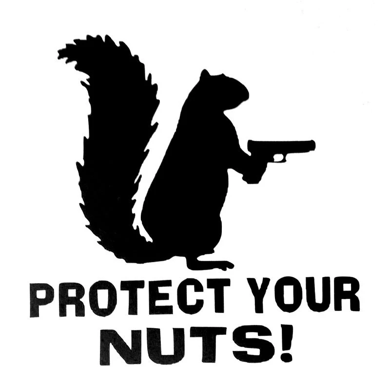 

12.9*12.7CM Protect Your Nuts Squirrel Police Army Navy Marines Car Stickers For kia ceed peugeot 407 mazda 6 VW passat b7 Lexus