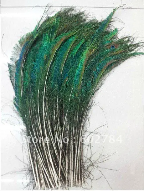 

Wholesale 200pcs 30-35cm 12-14 inches natural peacock feather peacock plume peacock plumage Free Shipping
