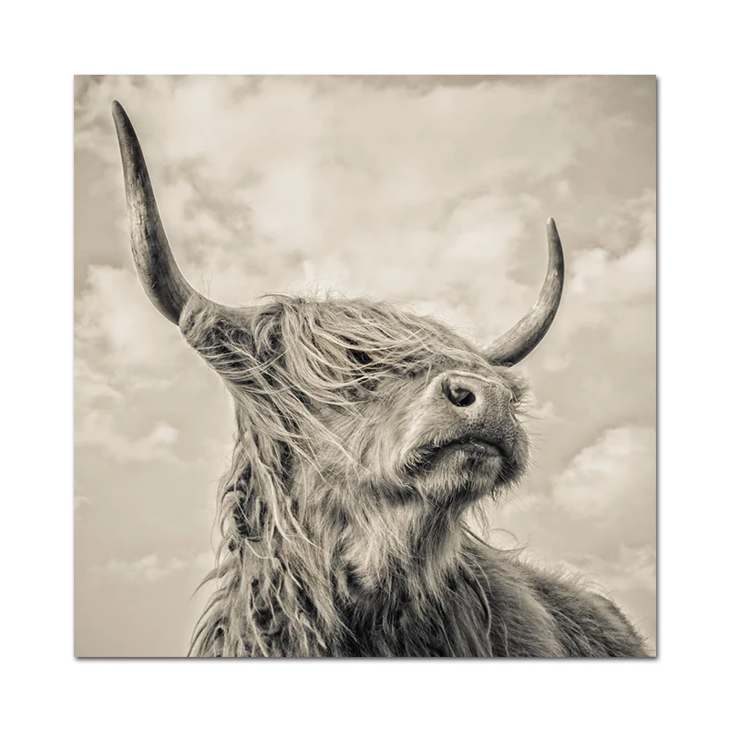 

Zwart wit poster Animal Hoogland Koe picture cow print Canvas painting Wall Art Voor Woonkamer Nordic home decoration