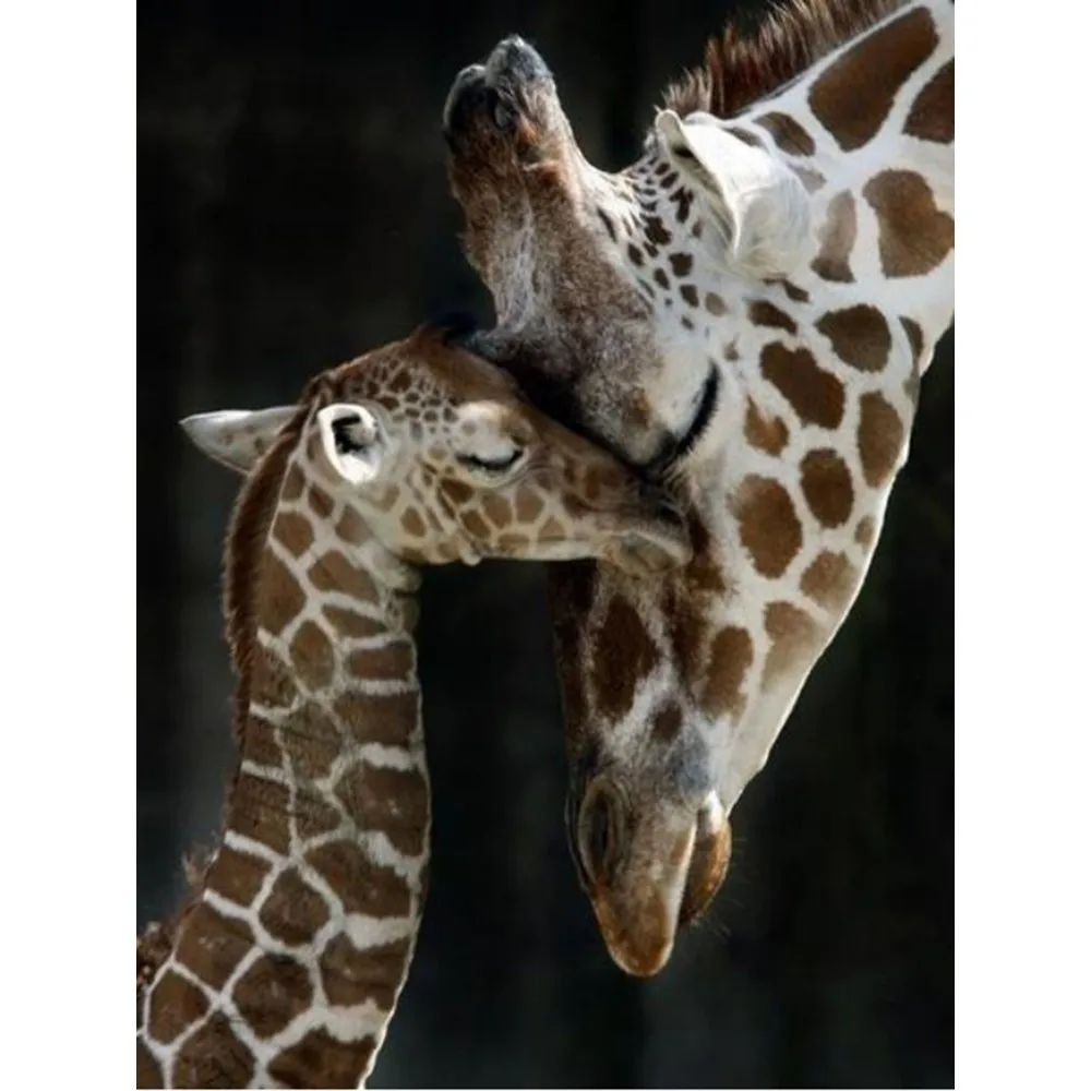 HUACAN-New-Arrival-5D-Diamond-Painting-Giraffe-Full-Square-Diamond-Mosaic-Animal-Diamond-Embroidery-Needlework-Decoration_