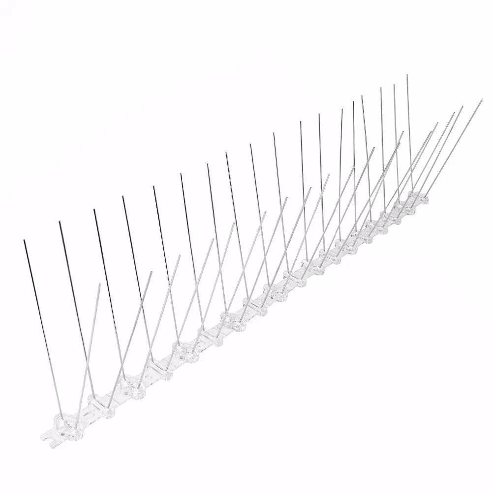 819nBuet14L._SL1500_