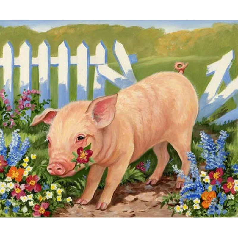 HTB1wSAePFXXXXbhXXXXq6xXFXXXs