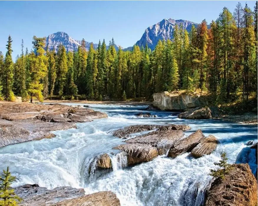 36020190318111207968