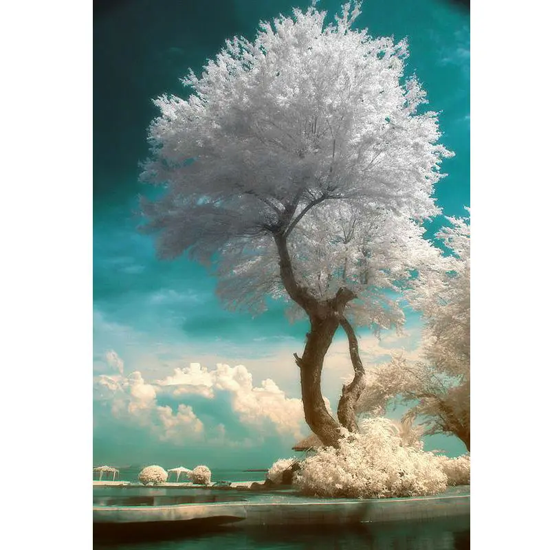 New 5D Diy Diamond Painting Cross Stitch White Snow Tree Square Diamond Snow Full Drill Natural Scenery Diamond Embroidery