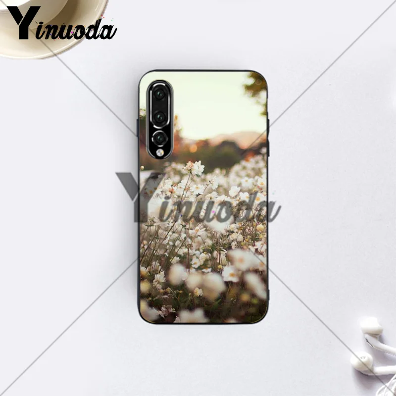 Daisies  (9)