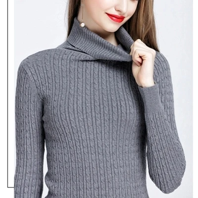 2018 Winter Warm Women Sweaters and Pullovers high Elastic Thick Turtleneck Sweater Autumn Knitted Twisted Sweater Women Jumper 2018 Winter Warm Women Sweaters and Pullovers high Elastic Thick Turtleneck Sweater Autumn Knitted Twisted Sweater Women Jumper