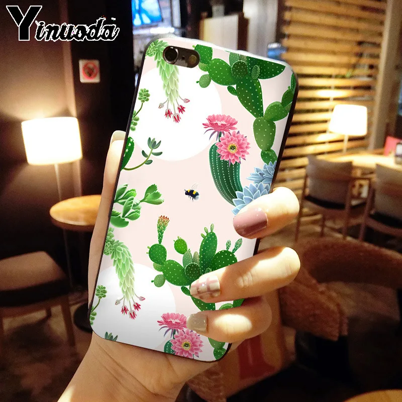 green cactus plant