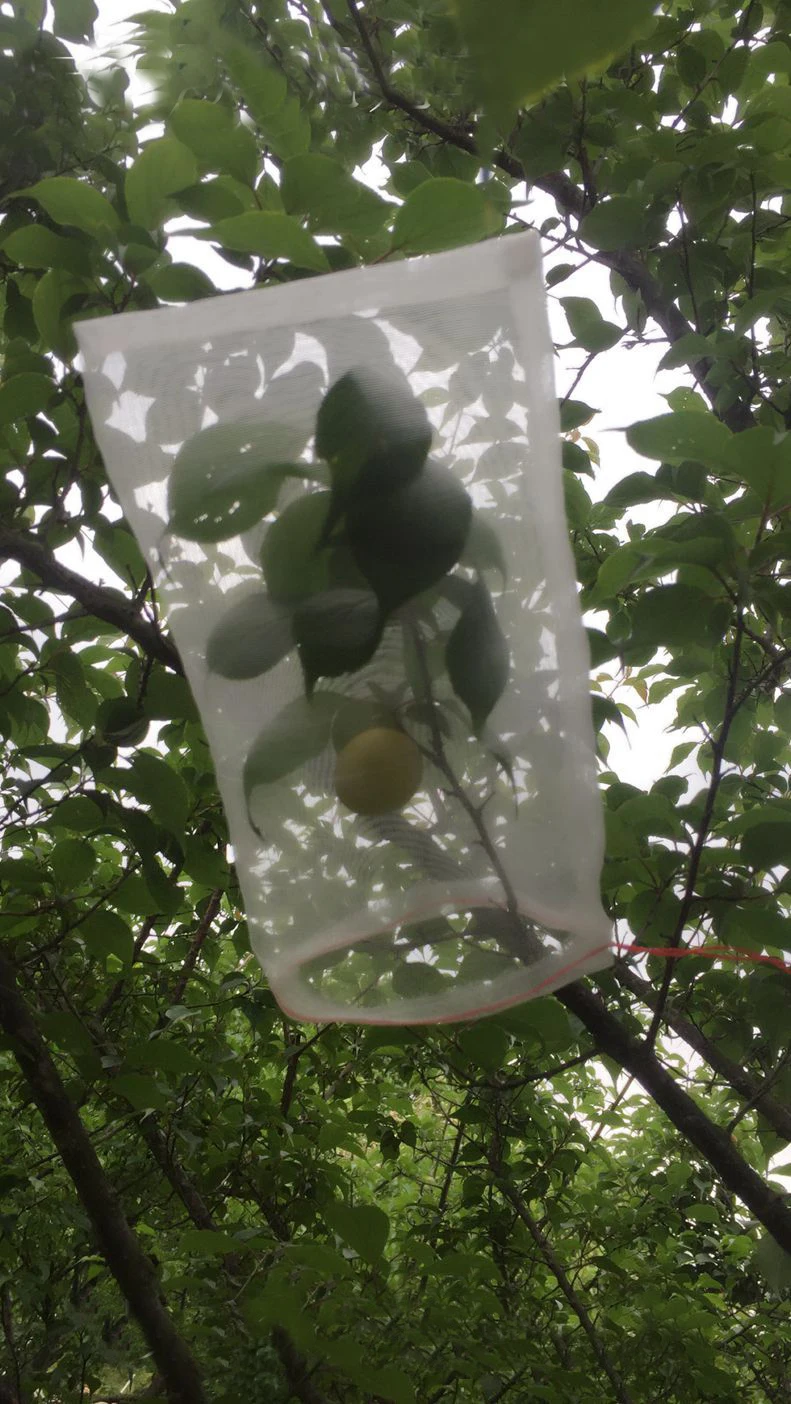 Сетка для защиты от птиц 40 сетка нейлоновая сетка 15x10 см сумки для замачивания семян тонкий грейпфрут сумка на заказ питая сумка